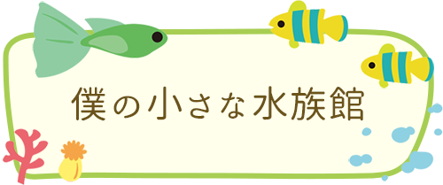 僕の小さな水族館