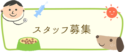 噛み癖について 三重県伊勢市の動物病院 こんどう動物病院