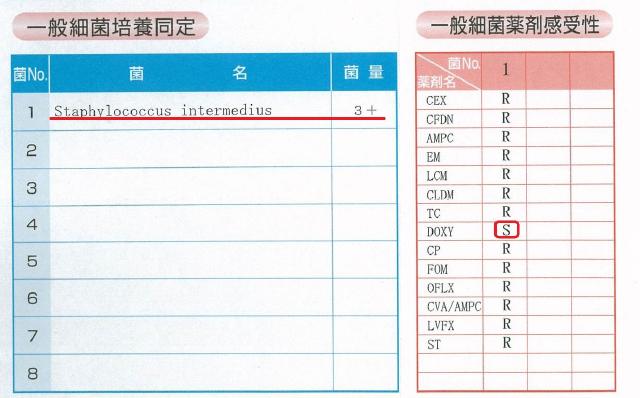 検査結果表