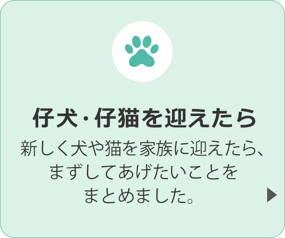 仔犬・子猫を迎えたら