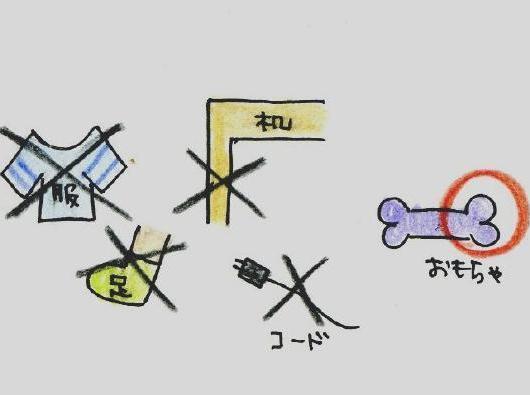 ③噛まれて困るものには近づかせない。＝　噛む経験を減らす！