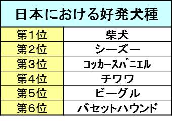 模型での網膜剥離の説明