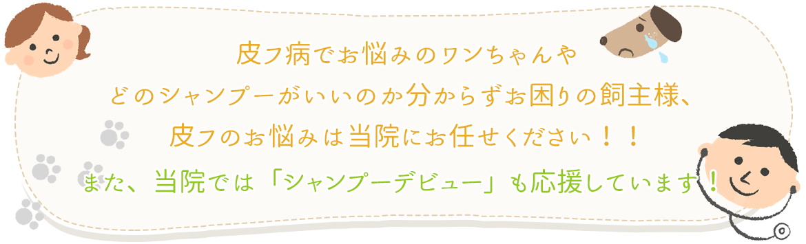 シャンプーデビューも応援しています！