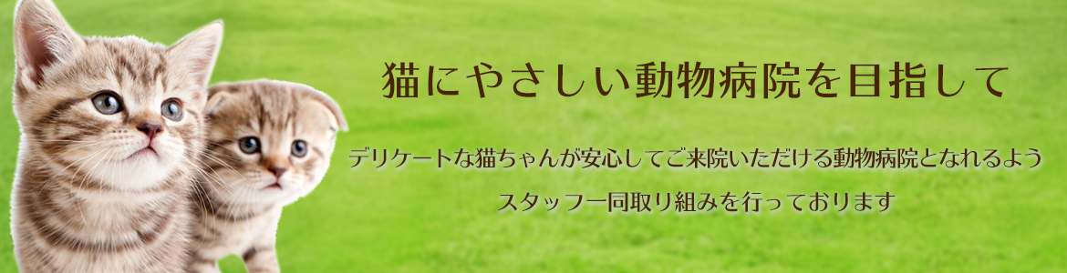 猫にやさしい動物病院 を目指して デリケートな猫ちゃんが安心してご来院いただける動物病院となれるよう スタッフ一同取り組みを行っております