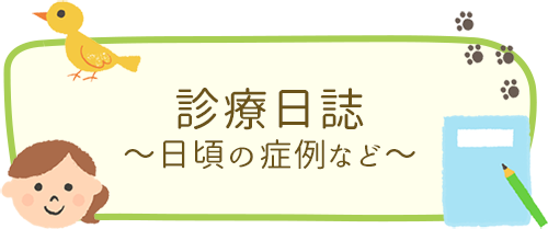 診療日誌 ～日頃の症例など～