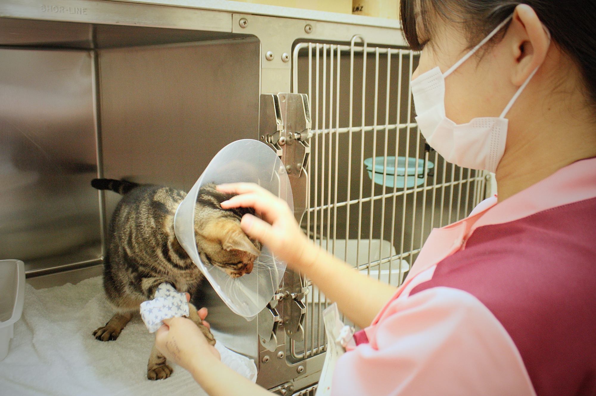 写真：動物看護師 鈴木さん ＆ 愛猫 なめこ君　