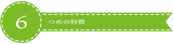 画像：6つめの特徴