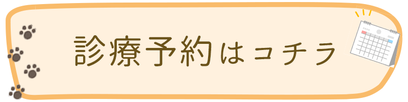 診療予約はコチラ