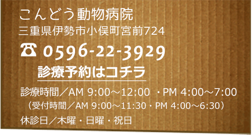 TEL: 0596-22-3929　診療予約はコチラ