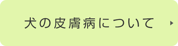 犬の皮膚病について
