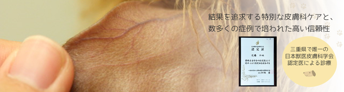 結果にこだわった皮膚科特別診療経験症例に裏付けされた診療実績