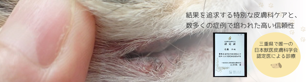 結果にこだわった皮膚科特別診療経験症例に裏付けされた診療実績
