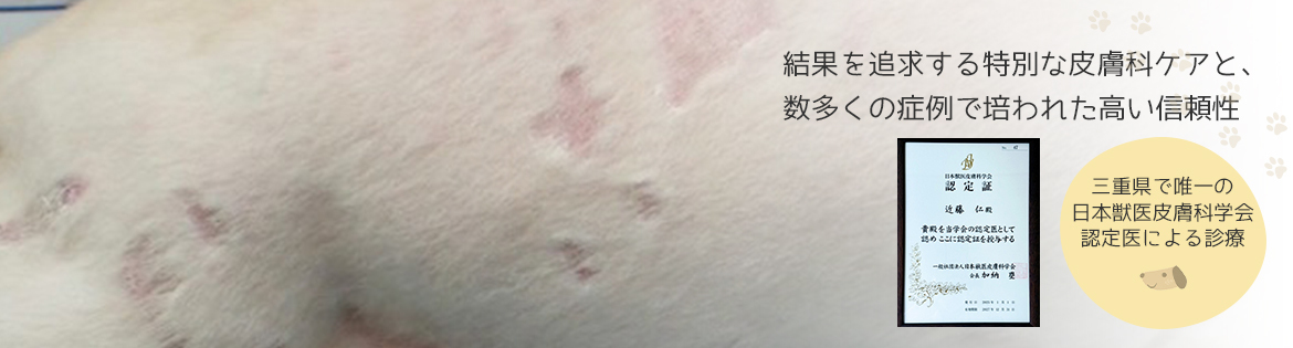 結果にこだわった皮膚科特別診療経験症例に裏付けされた診療実績