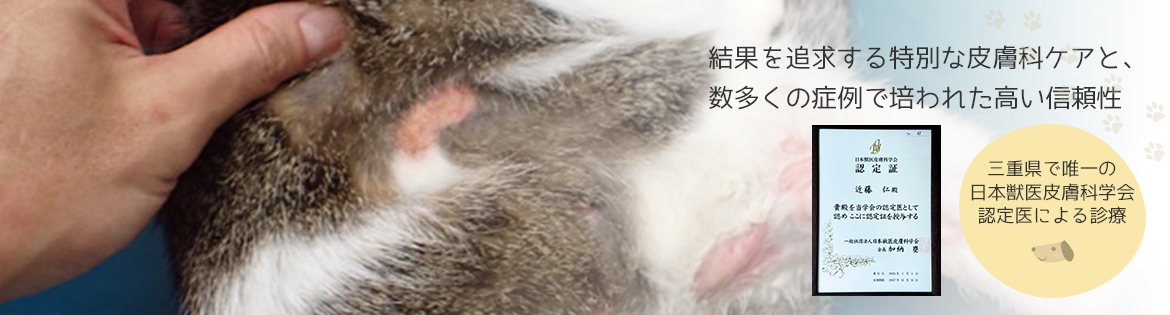 結果にこだわった皮膚科特別診療経験症例に裏付けされた診療実績