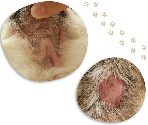 こんな悩みはありませんか？