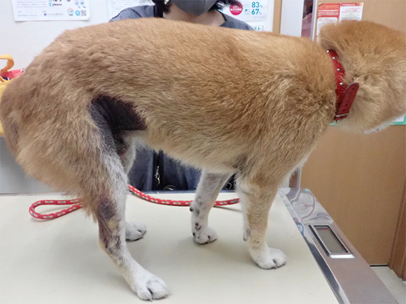 Before