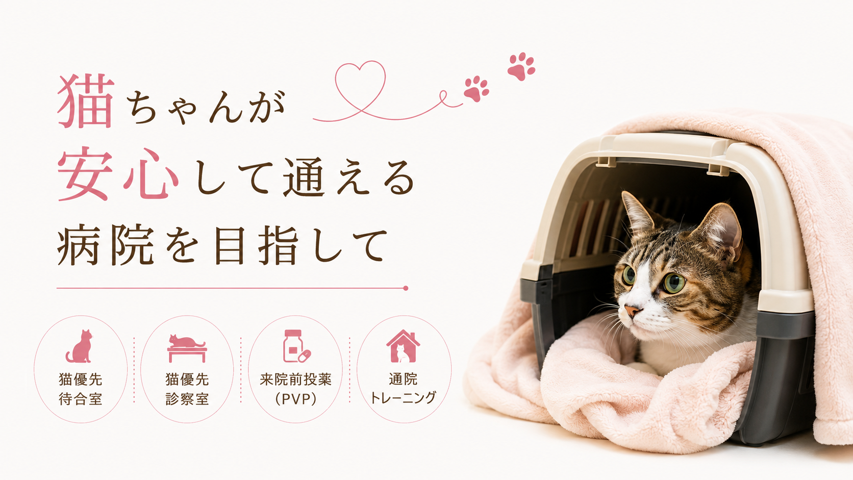 猫にやさしい動物病院 を目指して デリケートな猫ちゃんが安心してご来院いただける動物病院となれるよう スタッフ一同取り組みを行っております