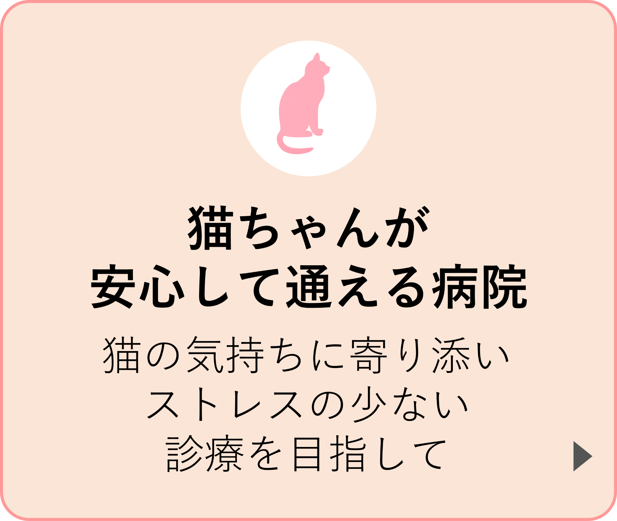 猫が安心して通える病院